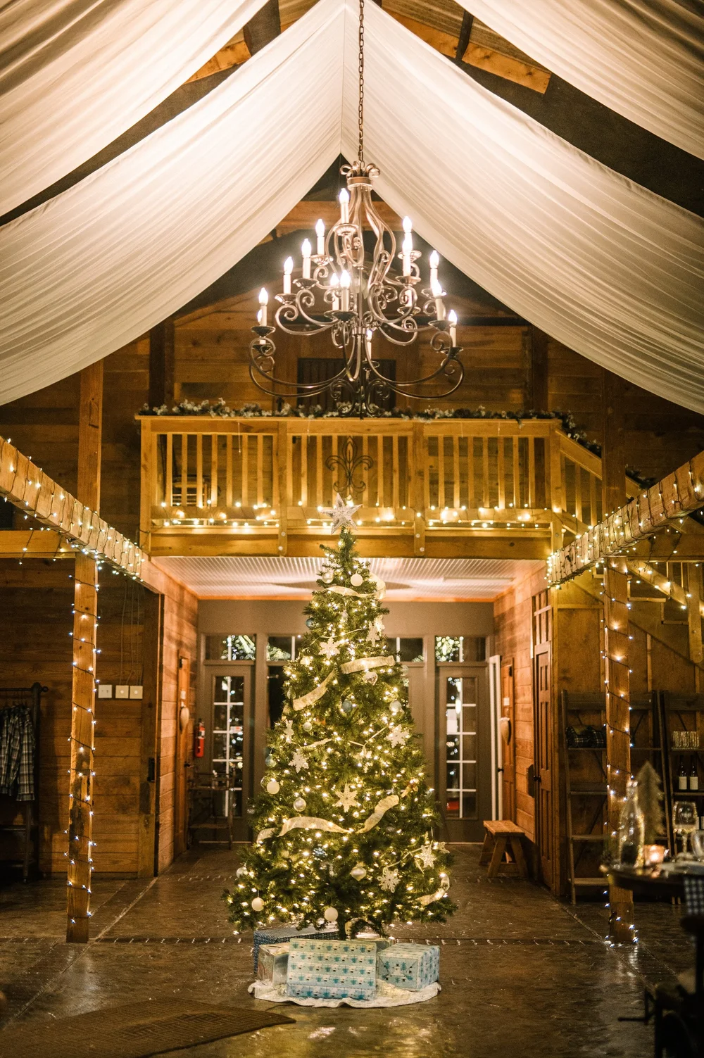 christmas tree in stable.jpeg