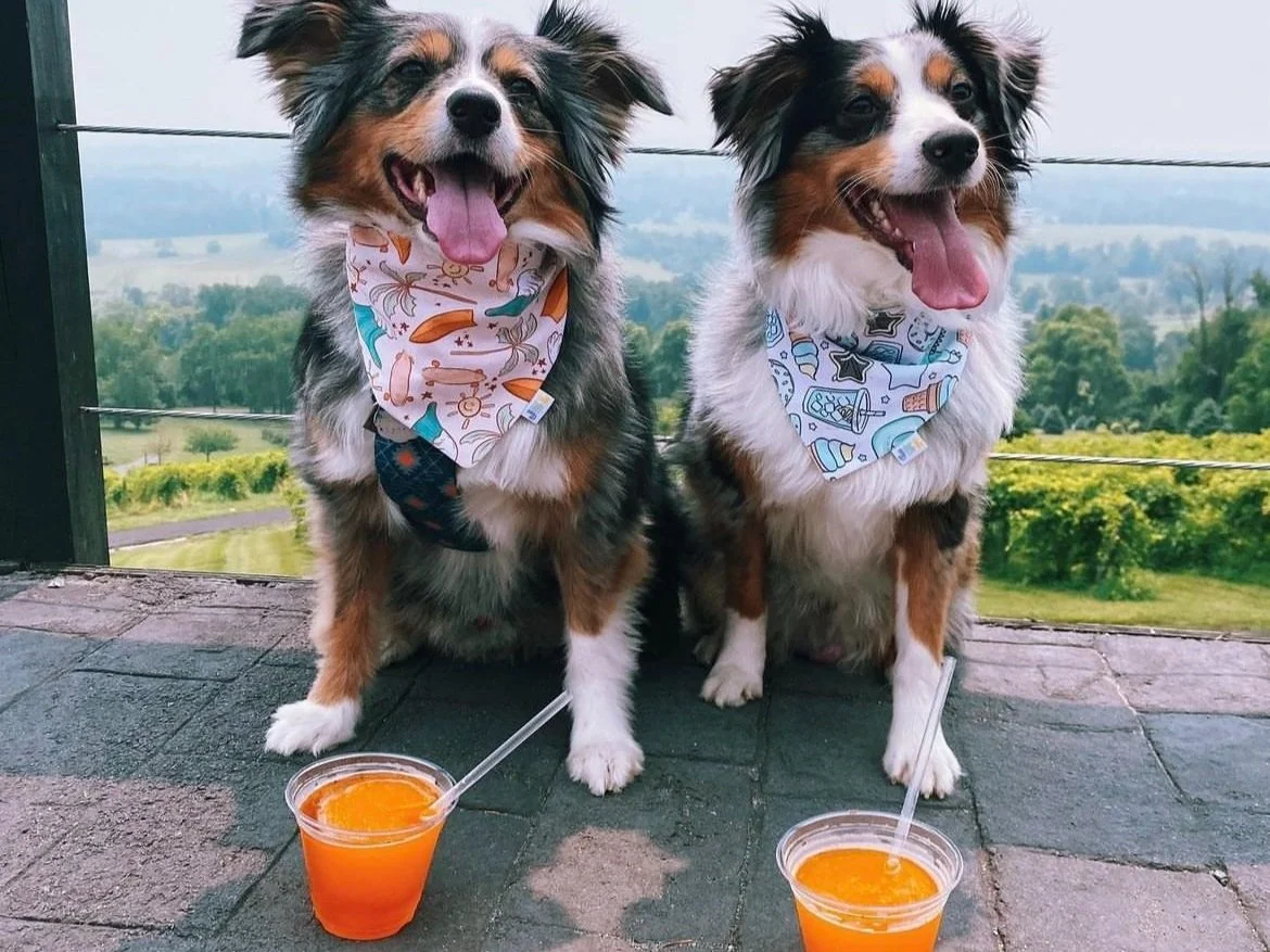 Peach Fuzztival 2025 🍑✨