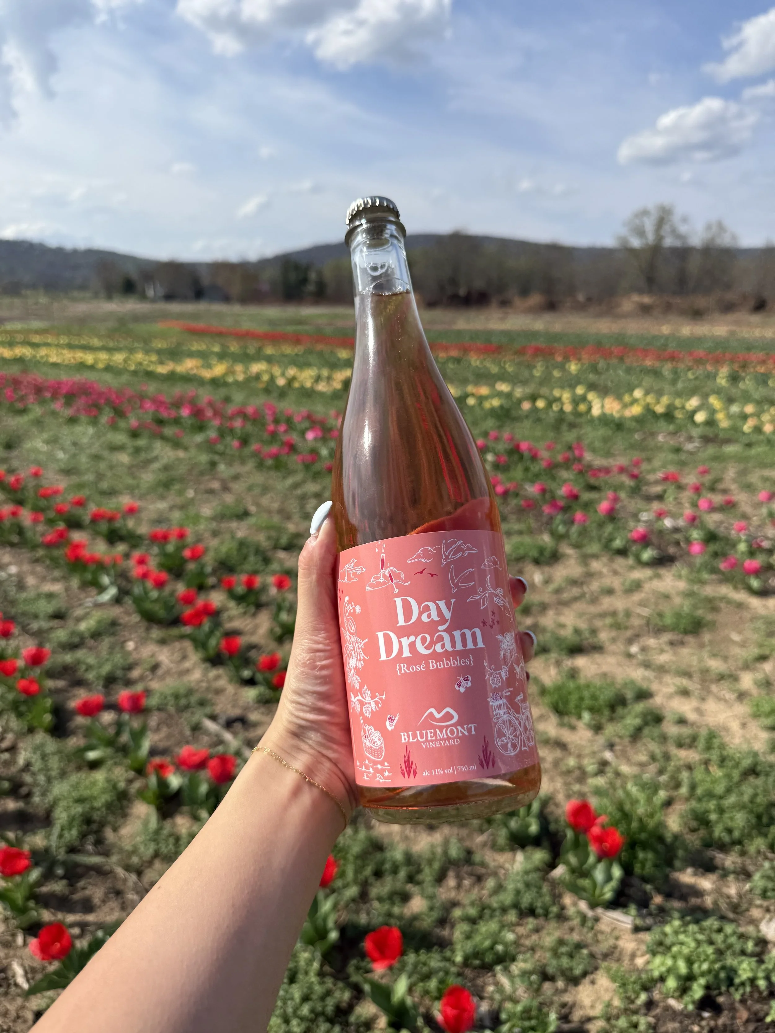 Tulip Days @Great Country Farms