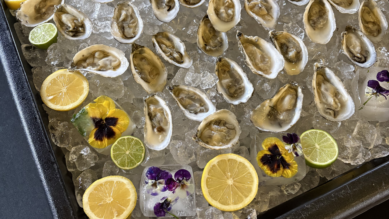 White Wine Party feat. Albariño &amp; Oysters 	