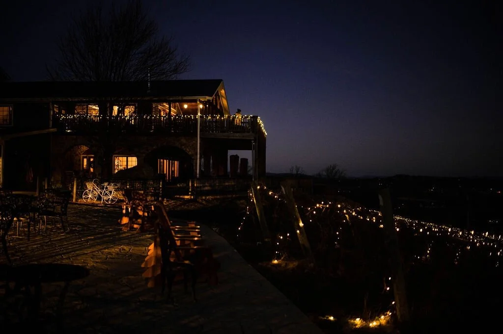 Lighting of the Vines Holiday Lights