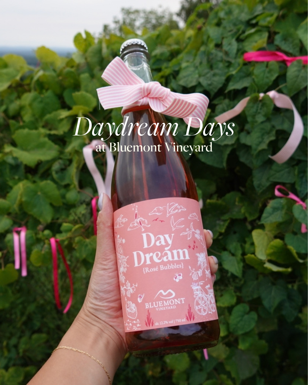 Daydream Days