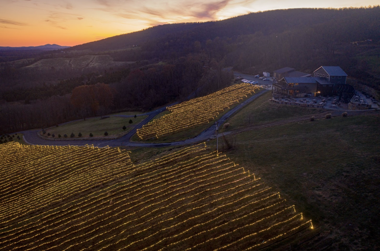 Watch 10,000 Lights Transform the Mountainside at Bluemont Vineyard