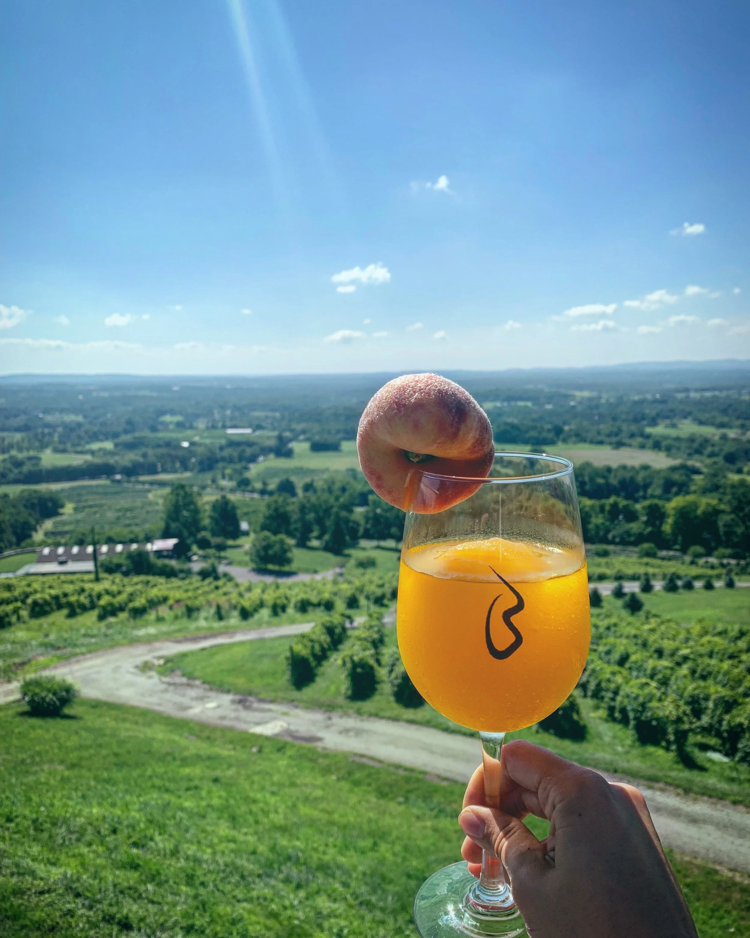 Peach Fuzztival.jpg