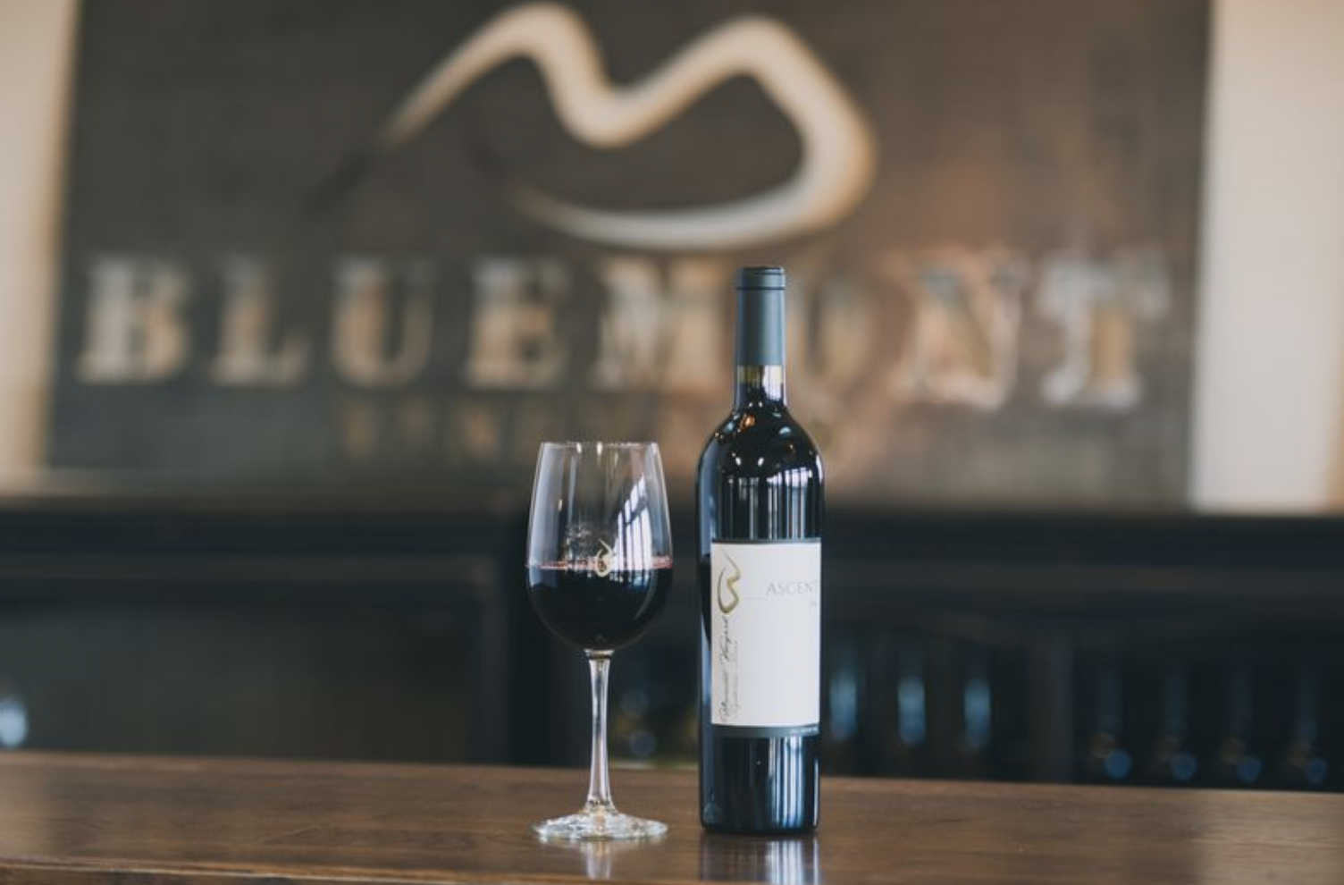 Vista Club Member Night: Ascent Vertical