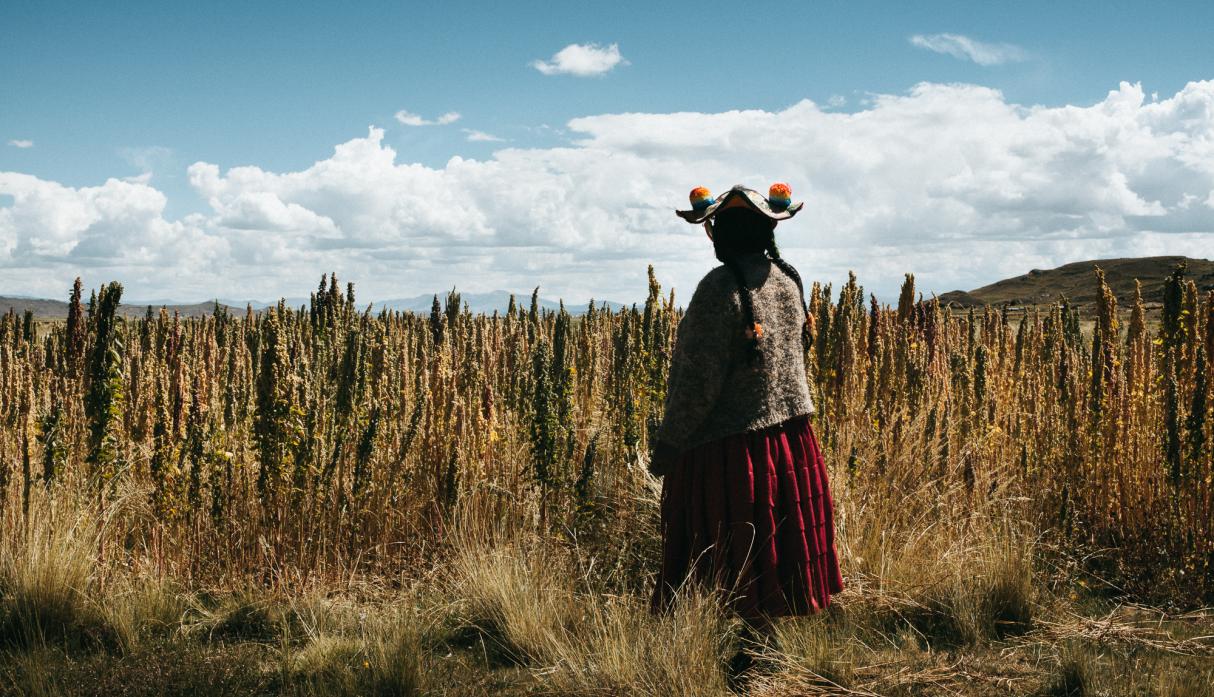 Sembradoras De Vida (Mothers of the Land)