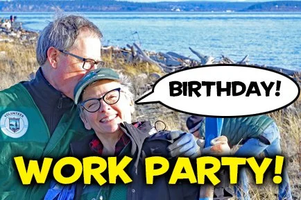 Birthday Work Party!