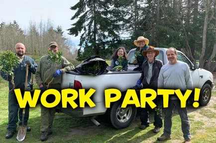 Work Party!