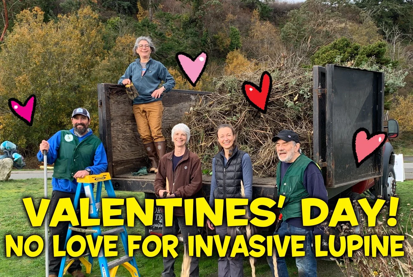 Valentine’s Day Work Party!