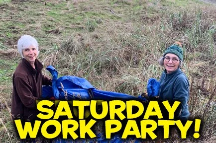 Weedies, Breakfast of Champions!