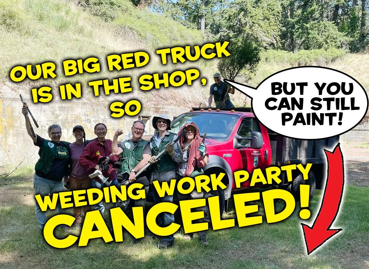 Weeding work party canceled!