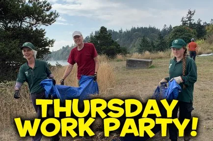 Thursday in the Park!