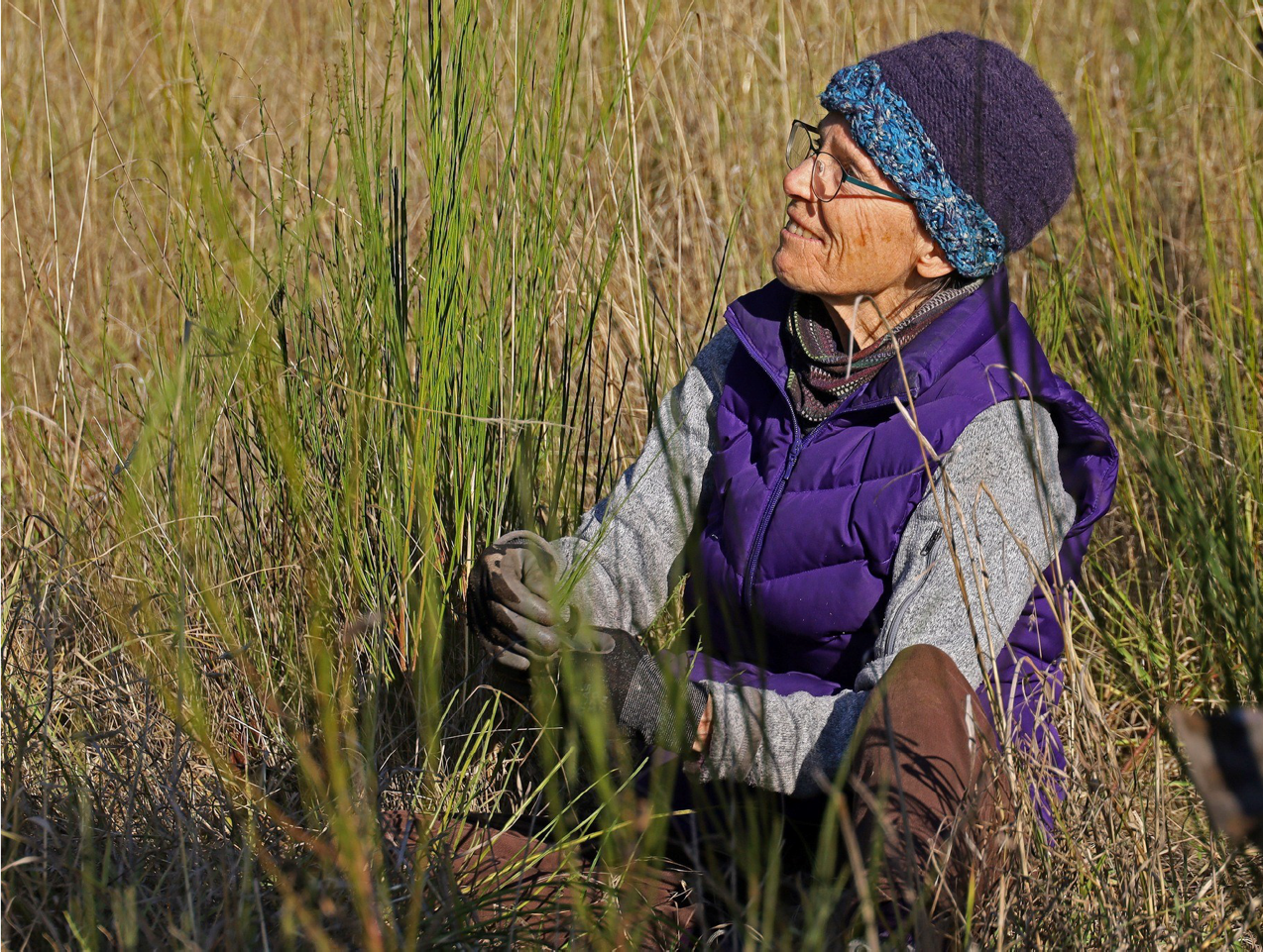 Older woman wearing glasses, a blue knit hat, purple vest, and gloves sitting in tall grass in a field, smiling and looking at the grass.