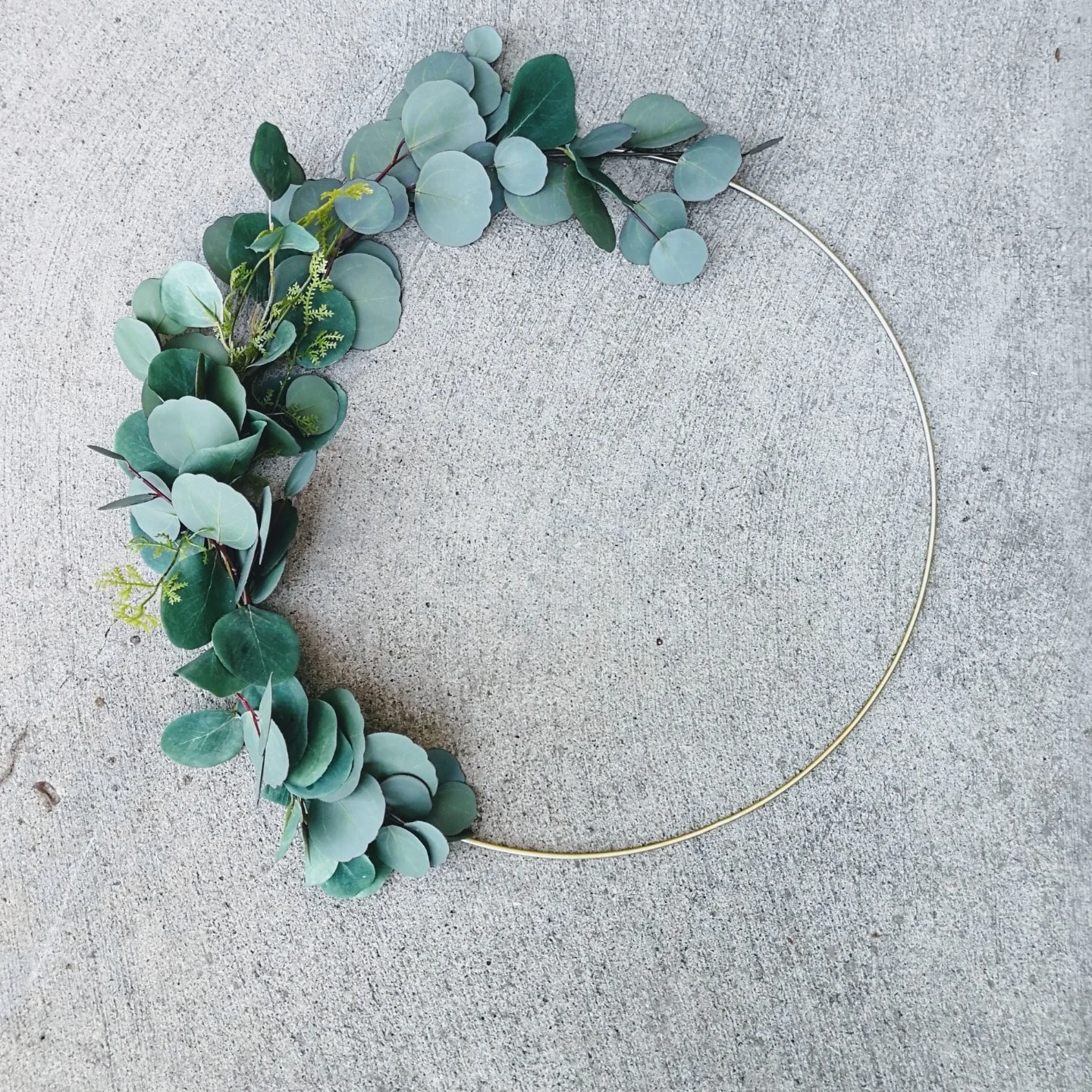 eucalyptus hoop.jpg