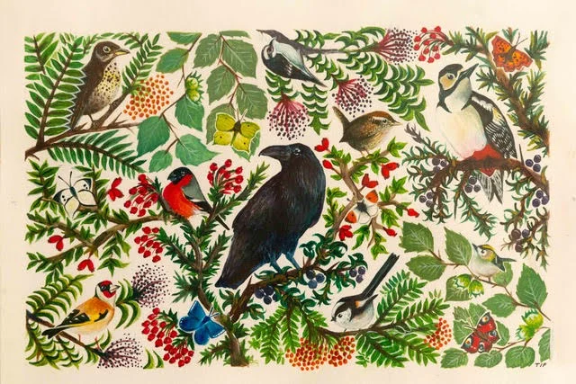 Life in a Hedgerow - Tiffany Francis