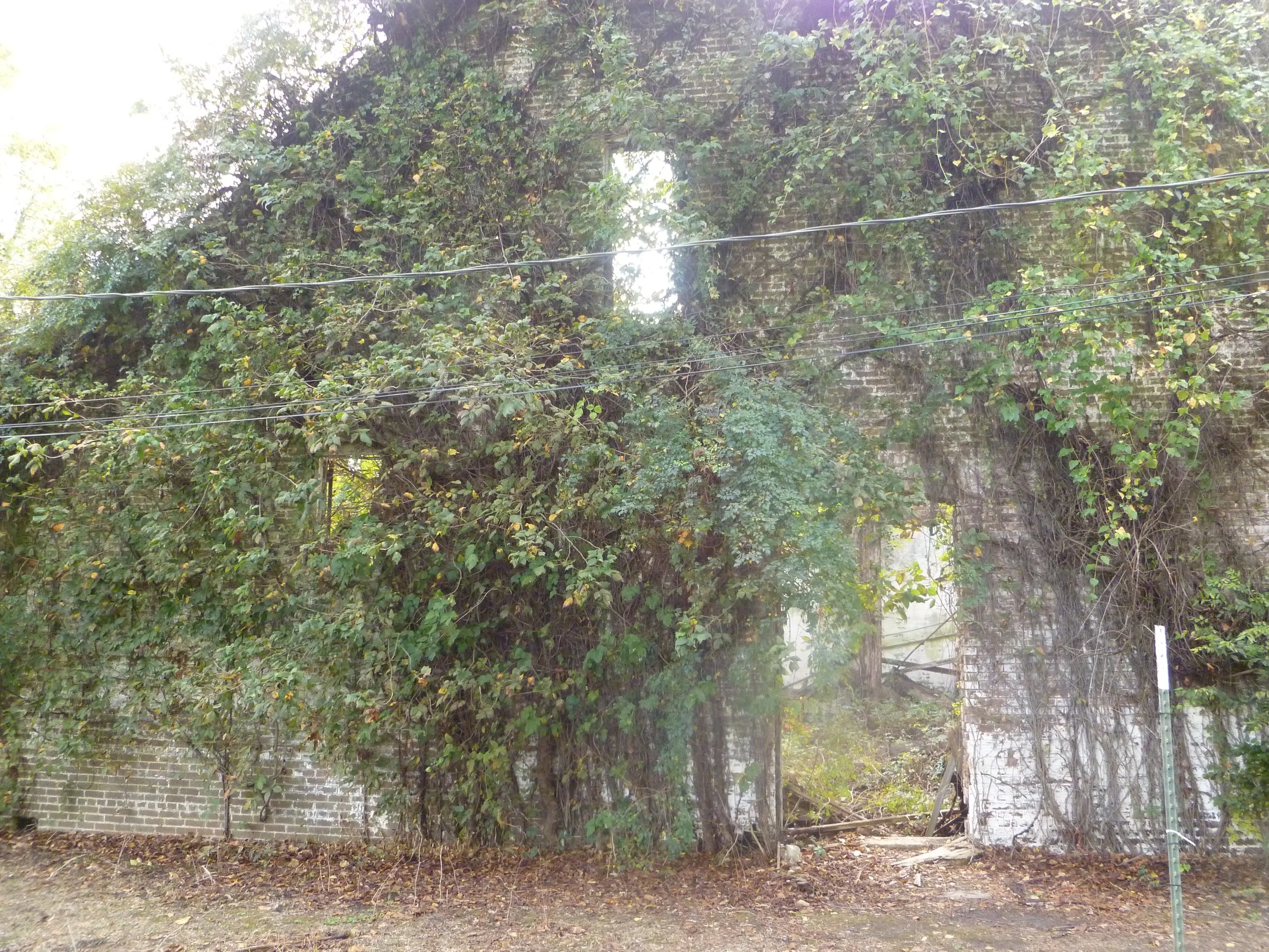 P1020312.JPG