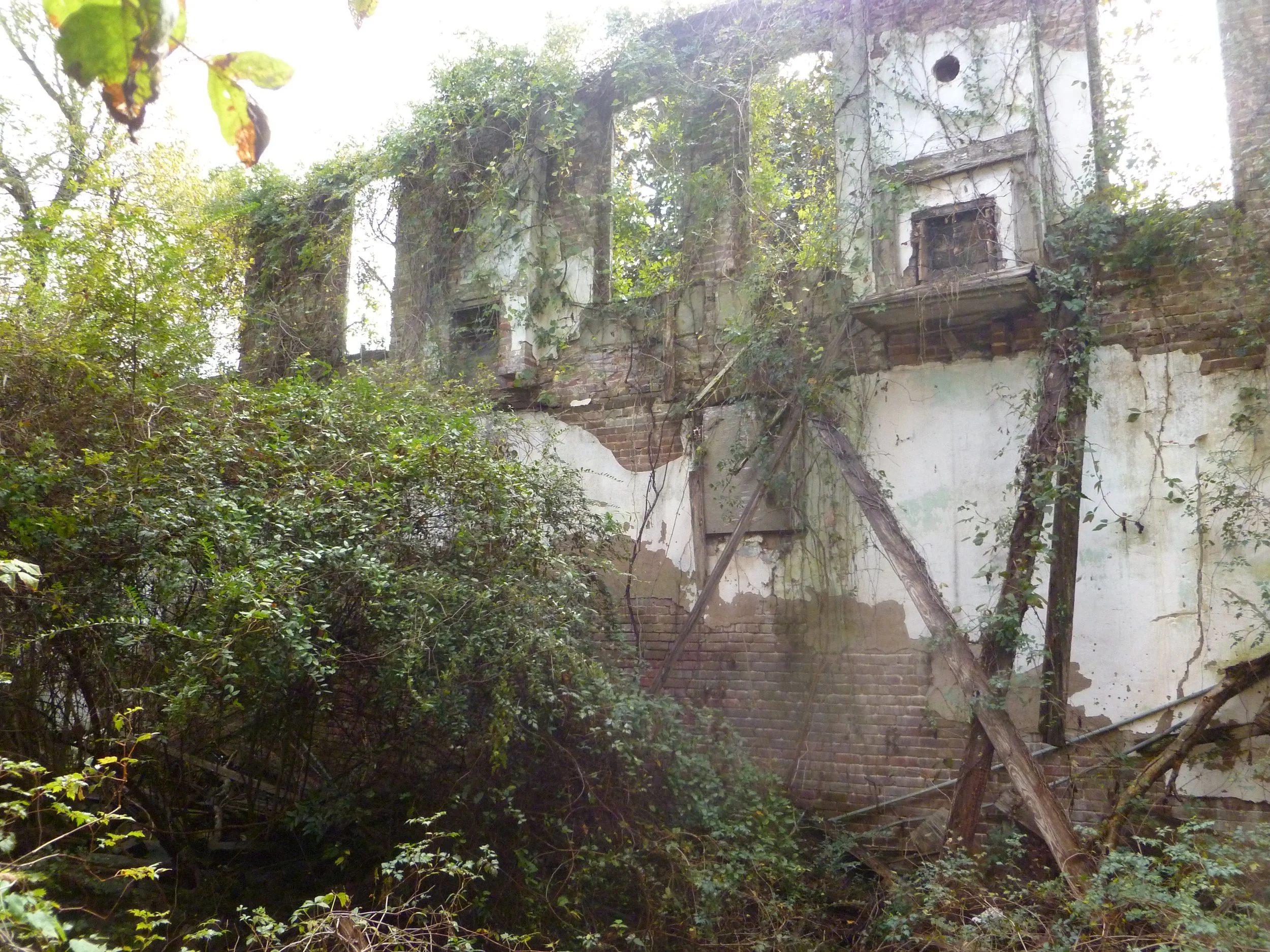 P1020314.JPG
