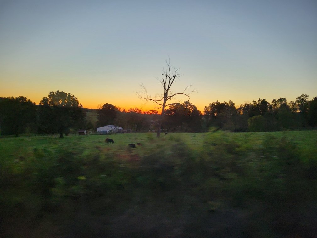 Resized_20251019_182811.JPEG