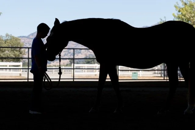 BigshotInWinecountry-5240 Medium.jpeg