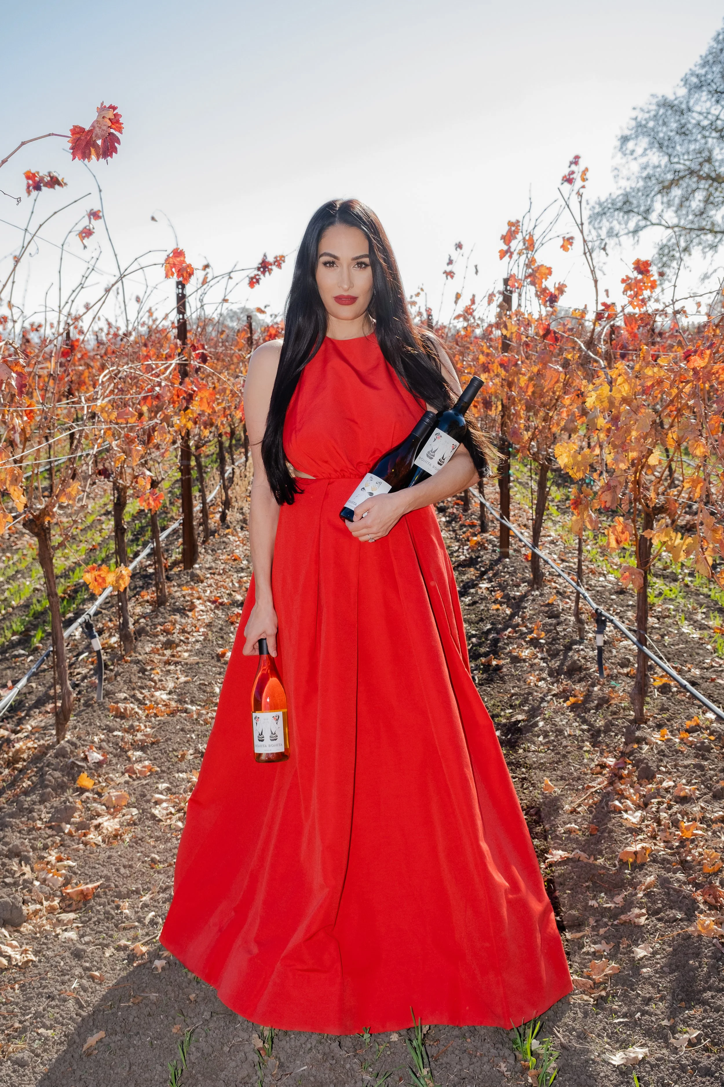 Bigshot in Winecountryedited-290.JPG