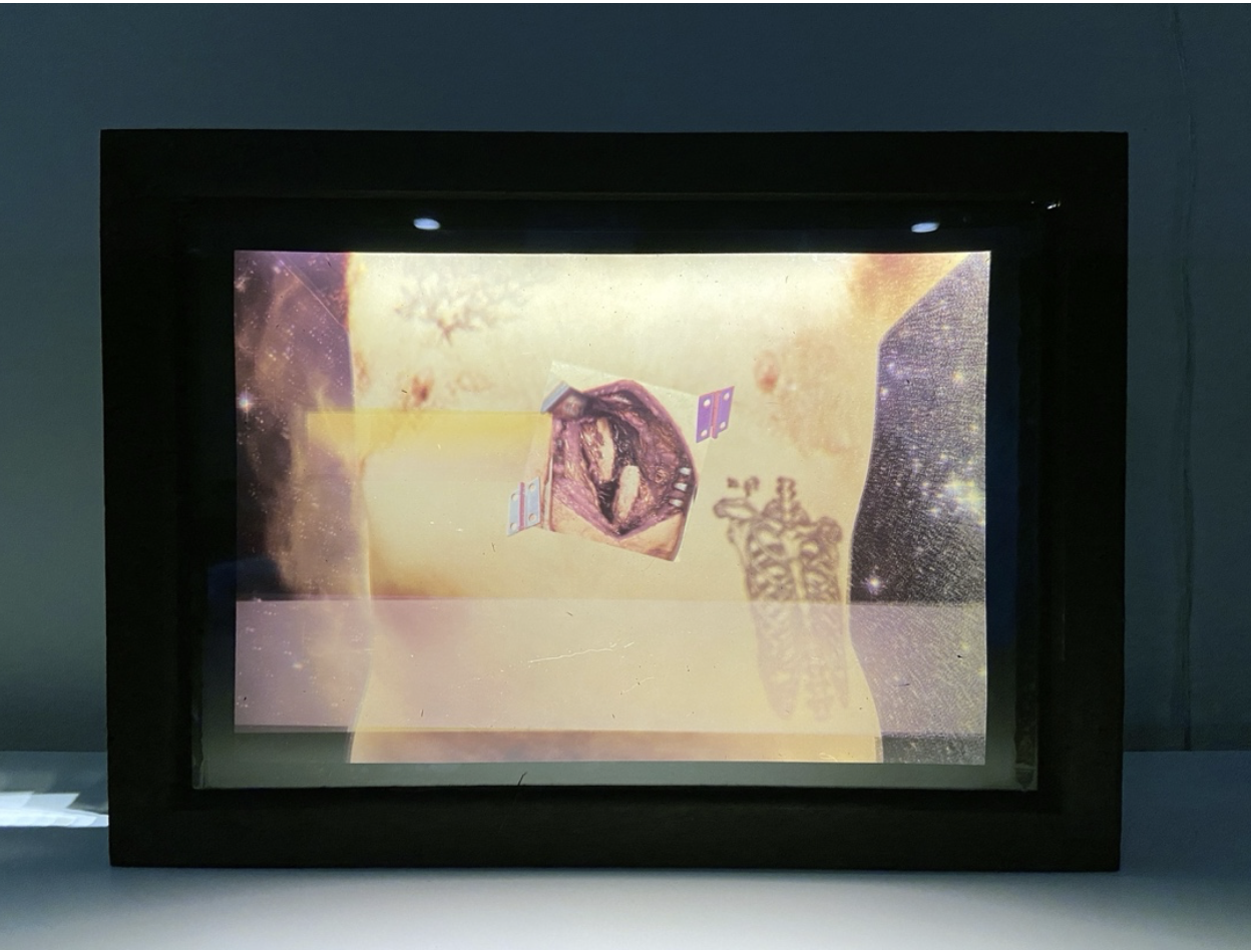 Phantom Intimacies, Stéfy McKnight