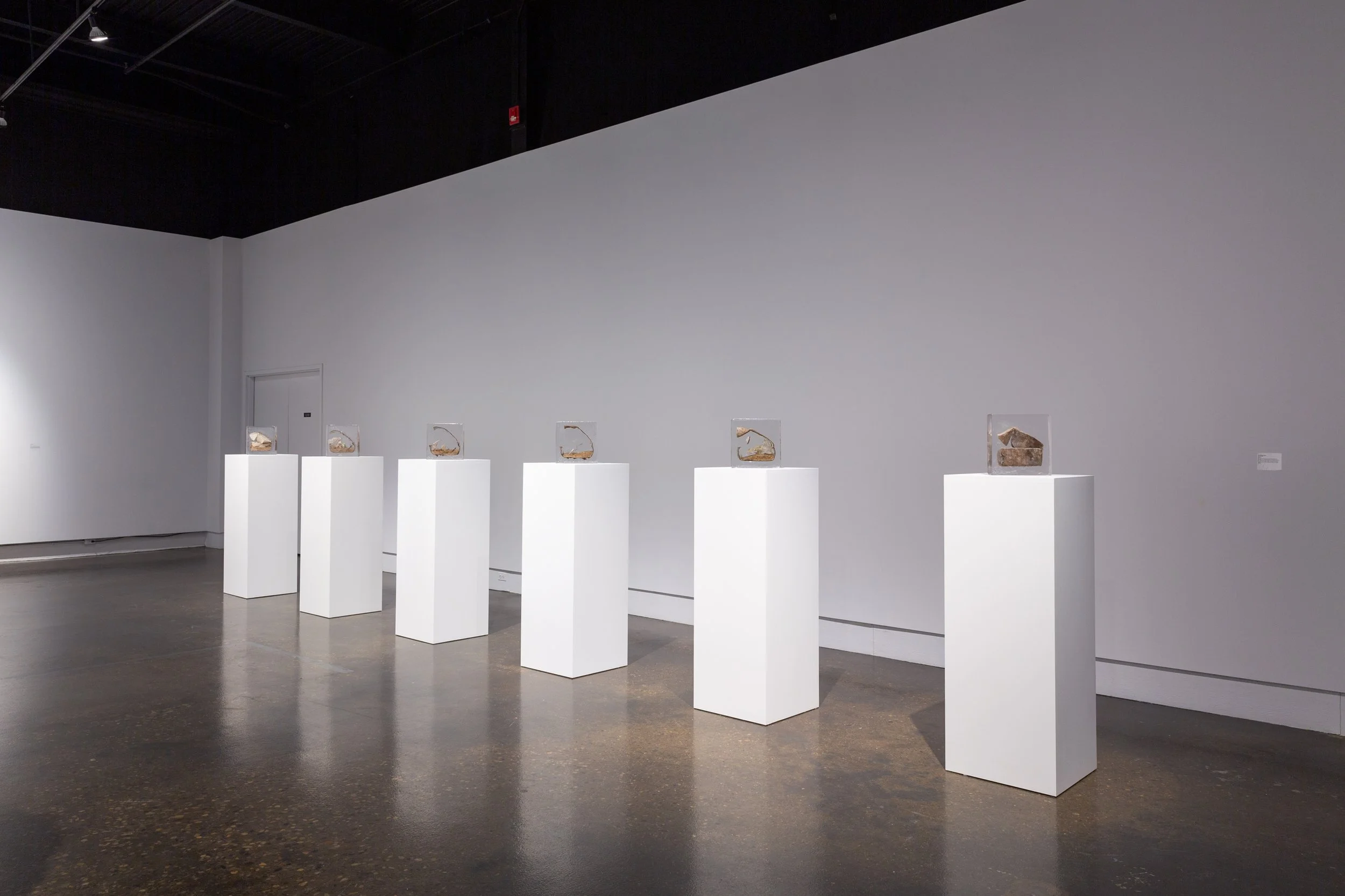 Examination, Laura Magnusson