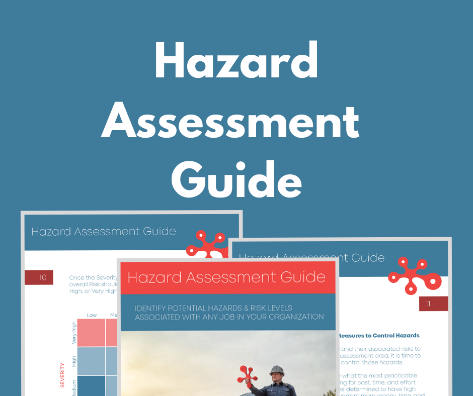 hazard assessment literature review