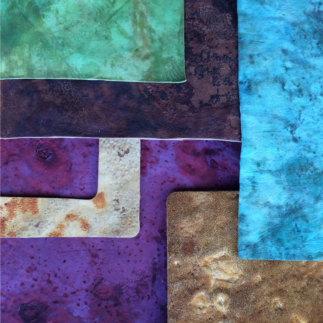 Mycelium-derived leather stained with various dyes. Credit: MycoWorks.