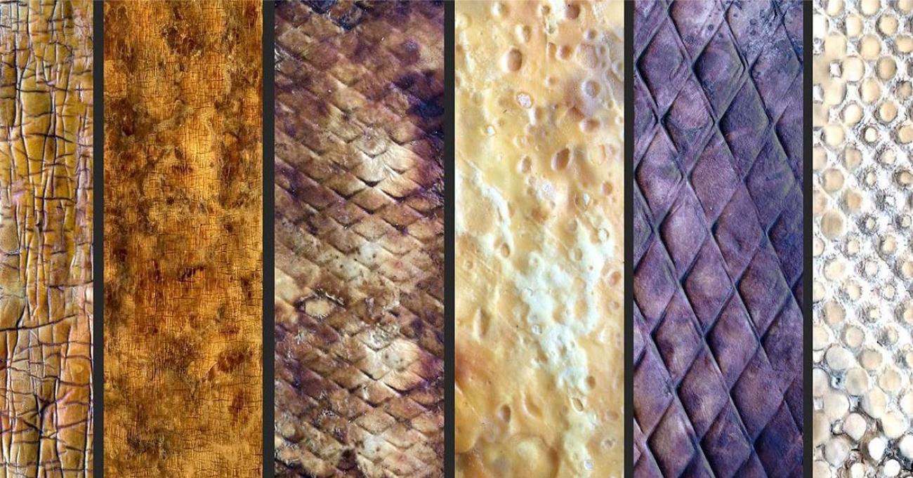 The leather can be in various textures and colours. Credit: Healthy Materials Lab.