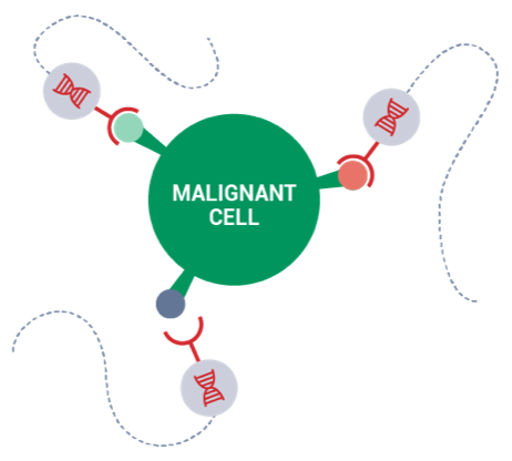 Precision Tumour Targeting