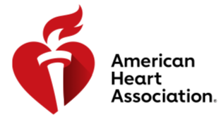 2018 AHA logo.png