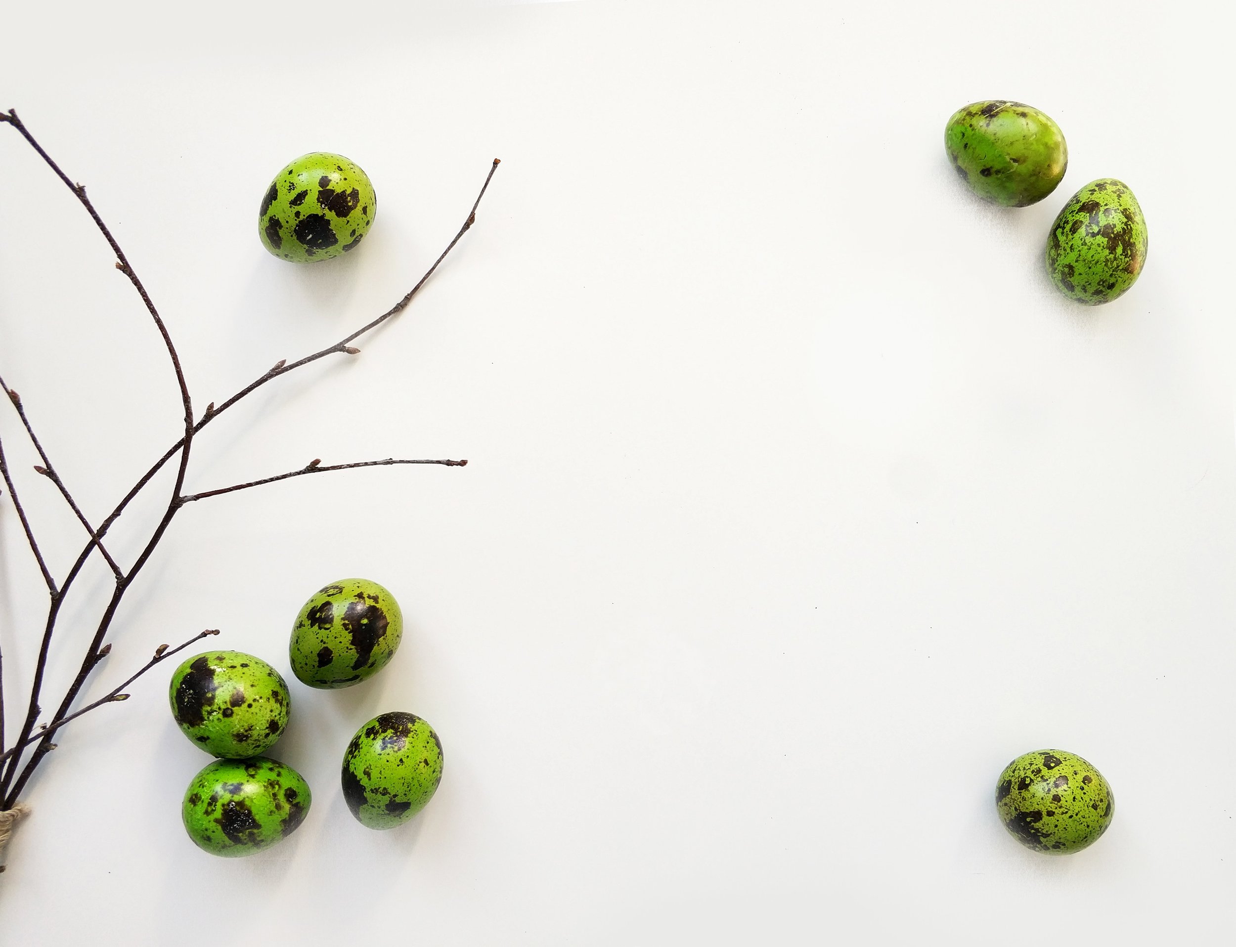 art-boiled-eggs-branch-941566.jpg