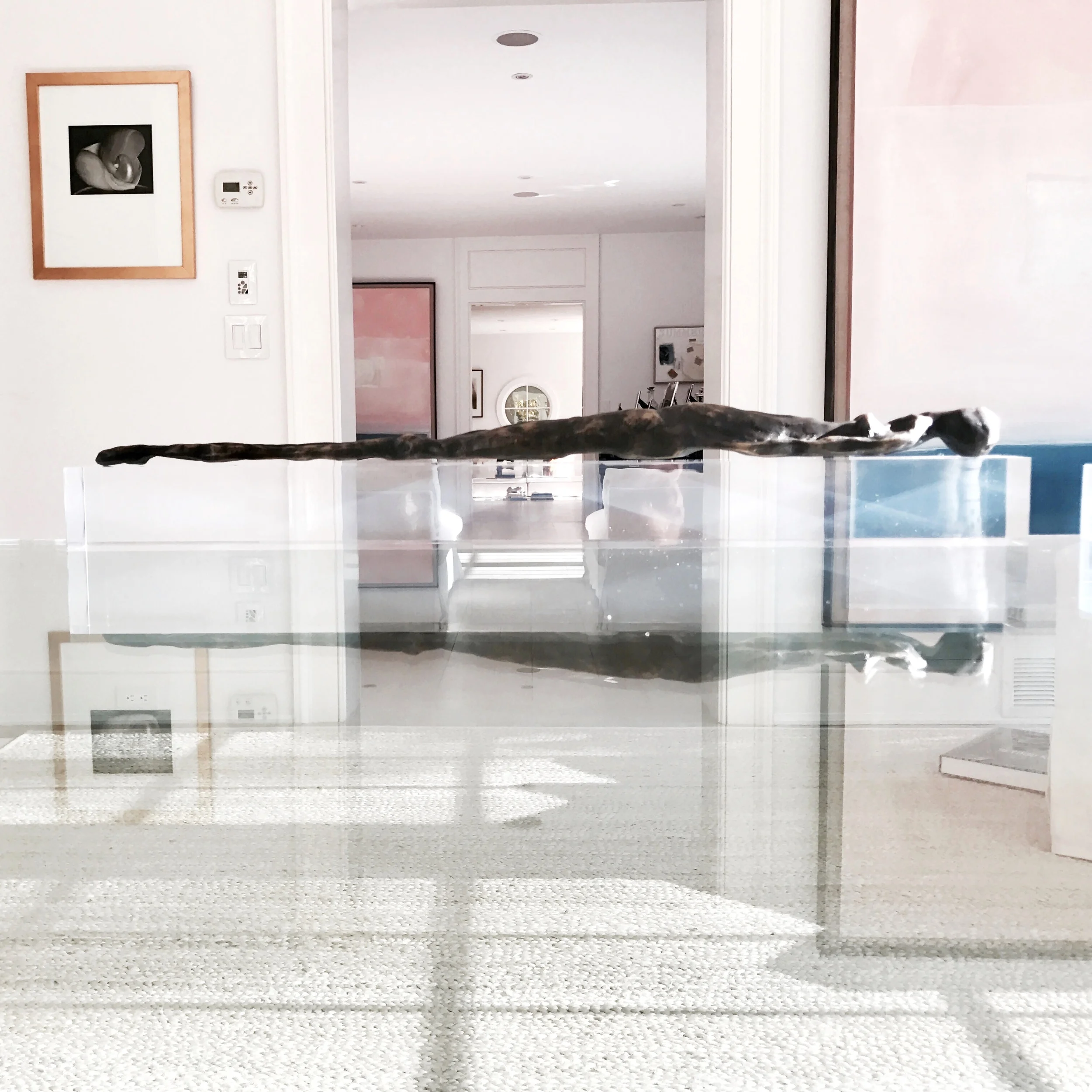 LUCITE SKINNY.jpg