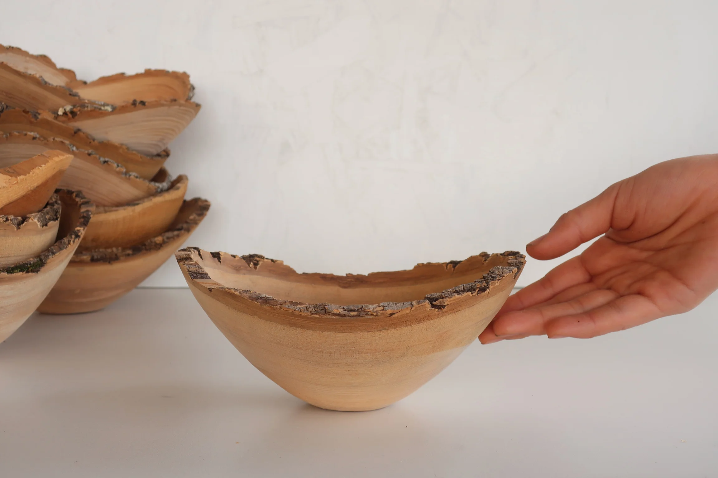 Natural Edge Bowls 1 Seedlings.jpg