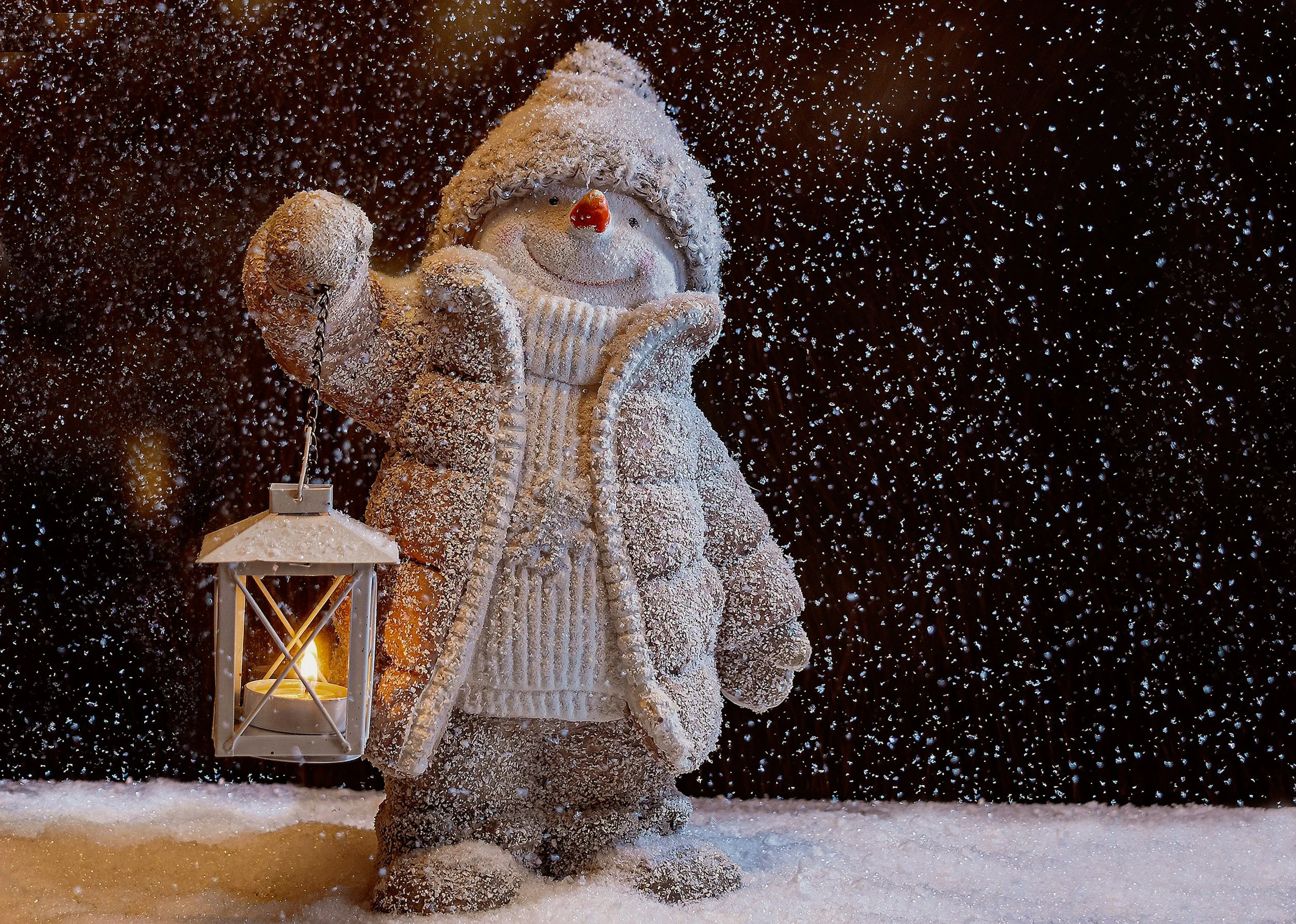 Bay Area Winter Family Events