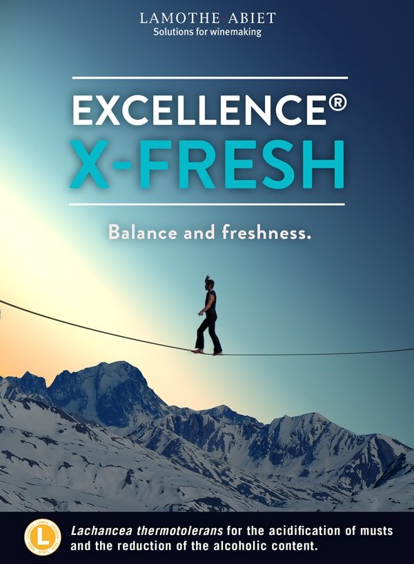 USE OF EXCELLENCE XFRESH?