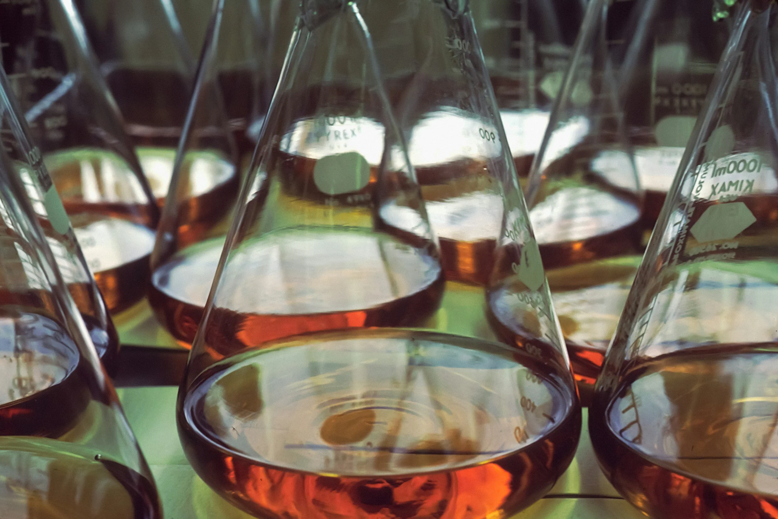 Wine experimentations, lab work, winemaking