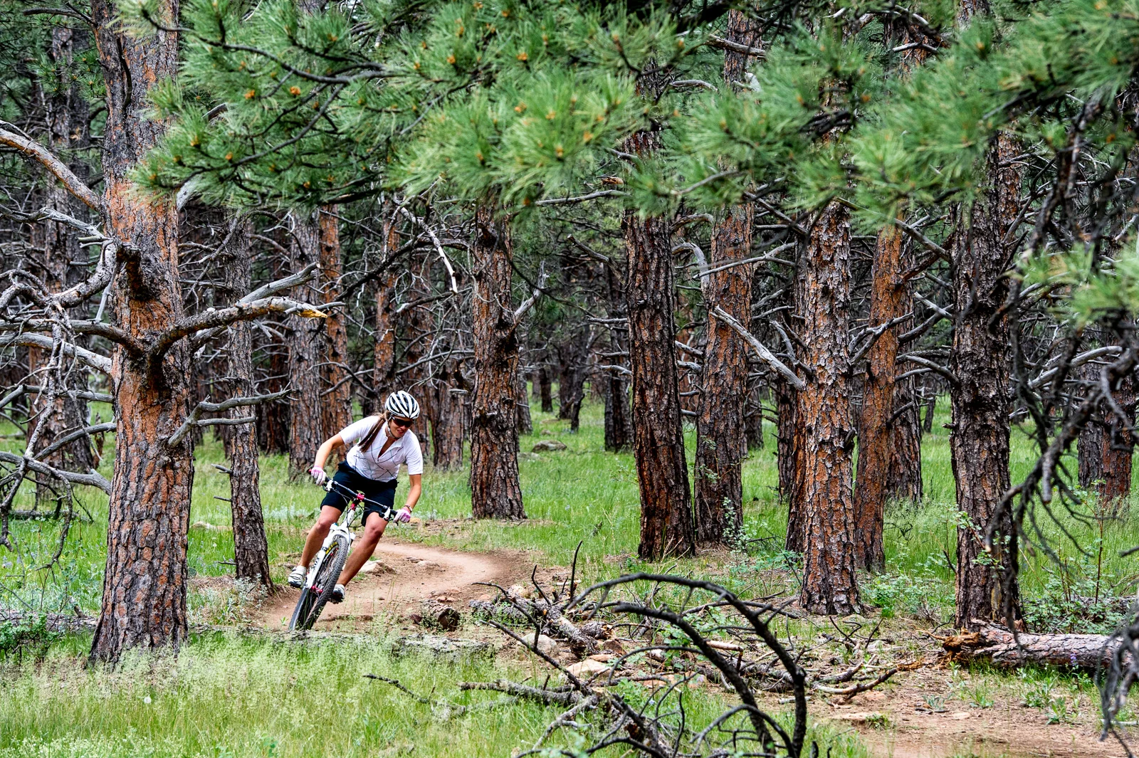 MountainBiking_Colorado_Blotto_3495.jpg