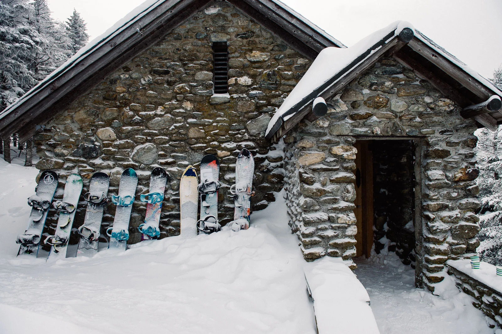 FamilyTree_Stowe2015_Blotto_3165.jpg