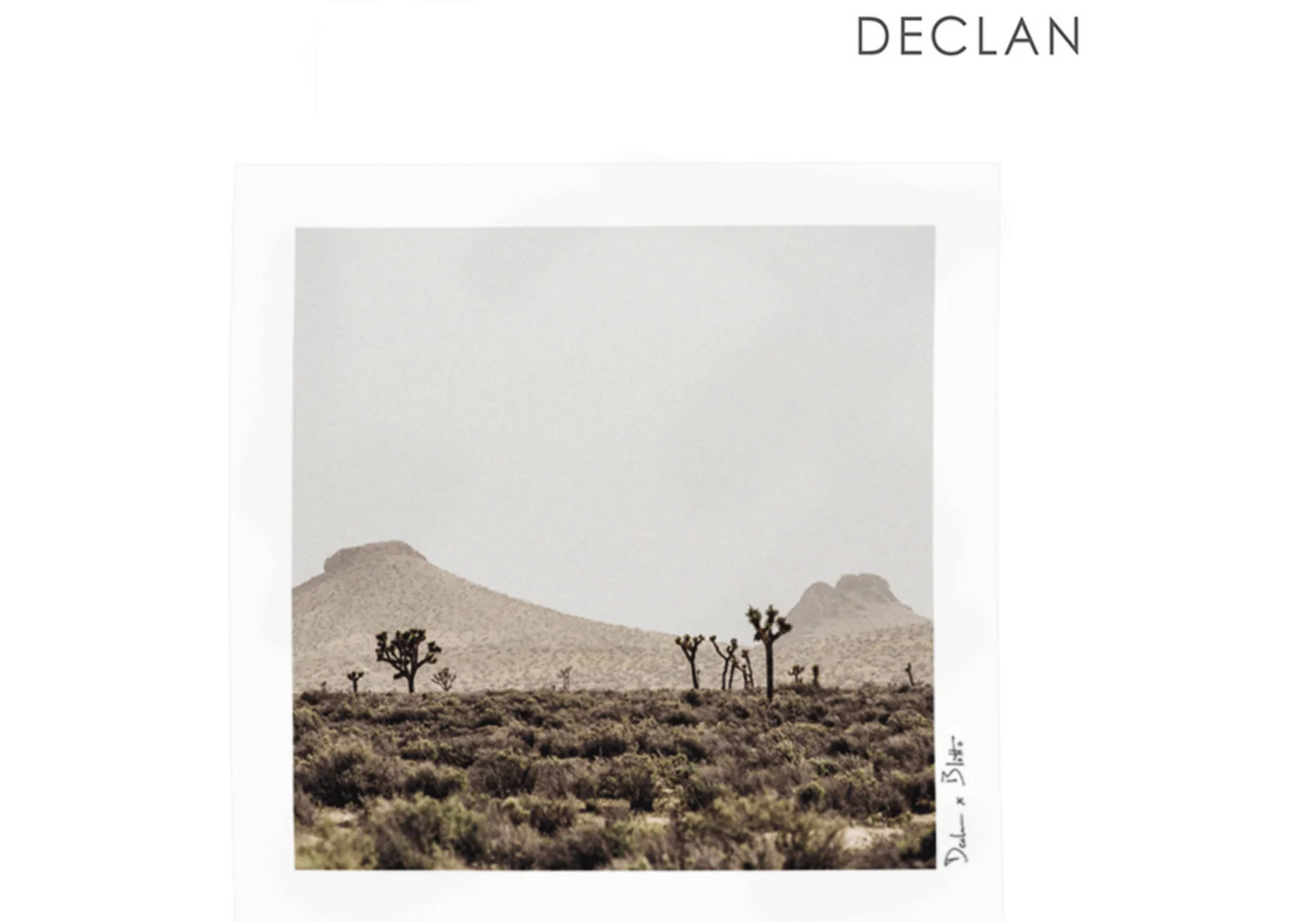 Mojave_Desert_Blotto_Declan.jpg