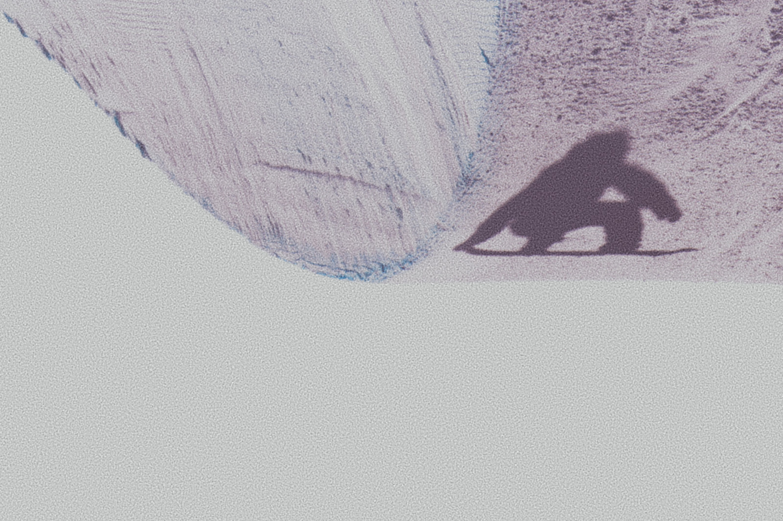 ShadowShred_LaaxSsSemis_Blotto_9235.jpg