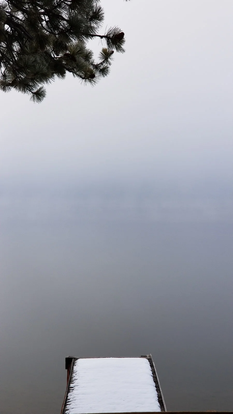 20180128_110841.jpg