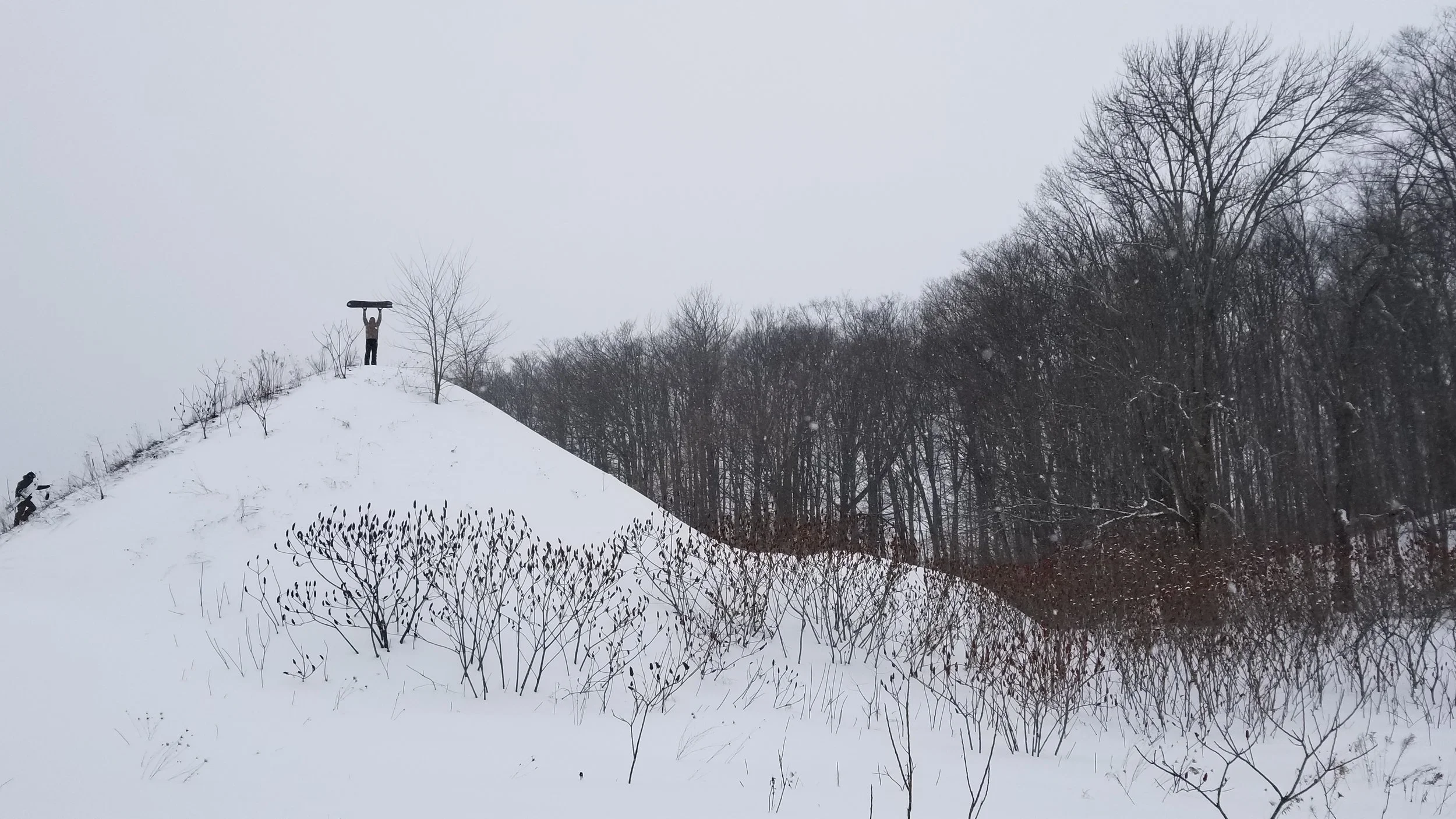 20180202_152337.jpg