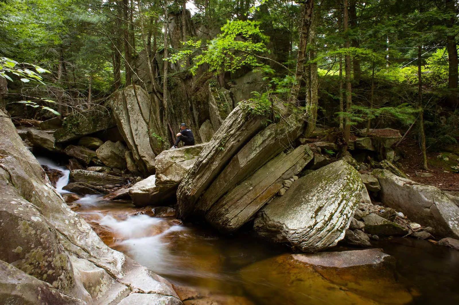 CraigWetherby_Vermont_Blotto_1379.jpg