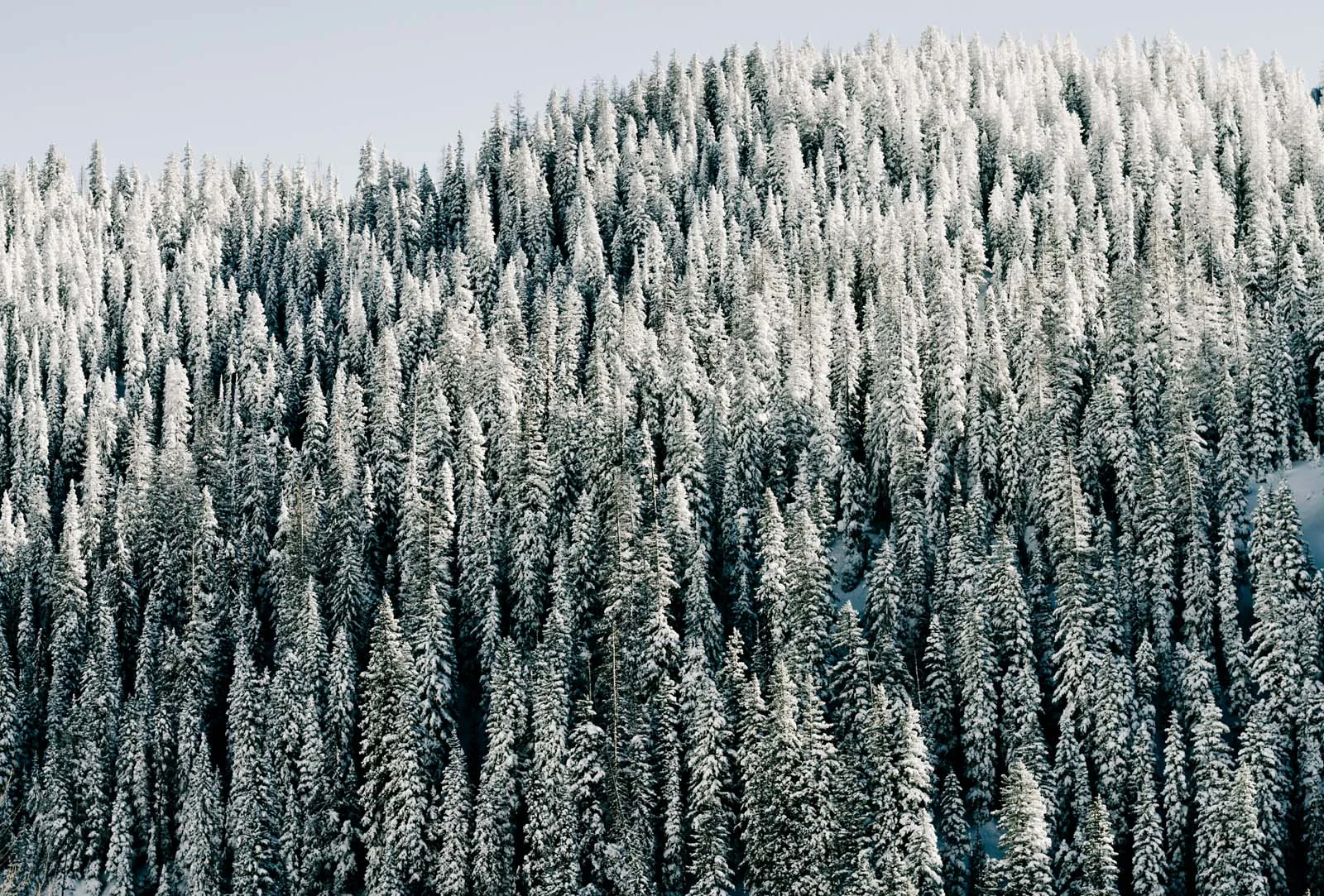 Mountains_WolfCreek_Blotto_5304.jpg
