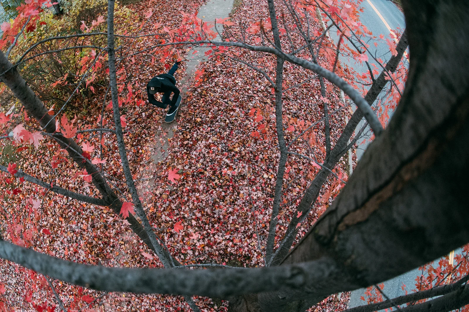 KyleBurroughs_BurlingtonOct2016_Blotto_9342.jpg