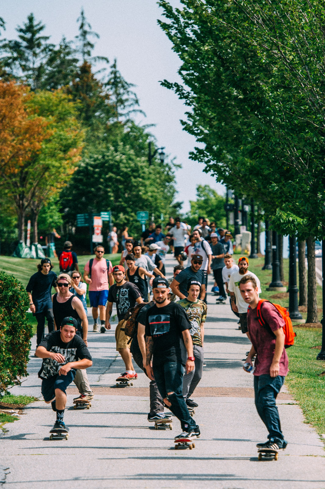 HillBomb_AdogDay2015_Blotto_5850.jpg