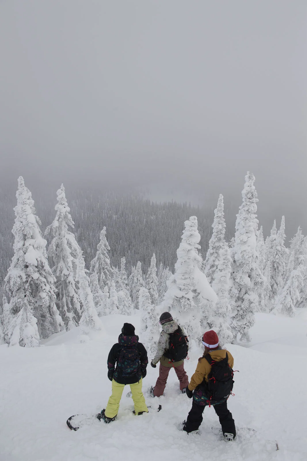 KellyClark_Baldface_Blotto_3200.jpg
