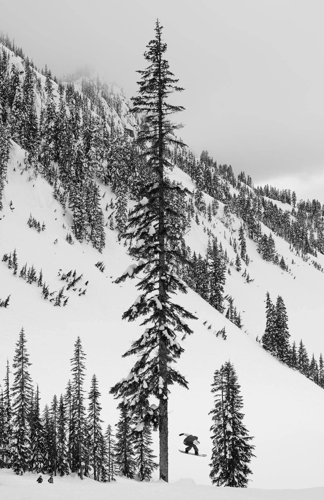 NicolasMuller_StevensPass2014_Blotto_1446.jpg