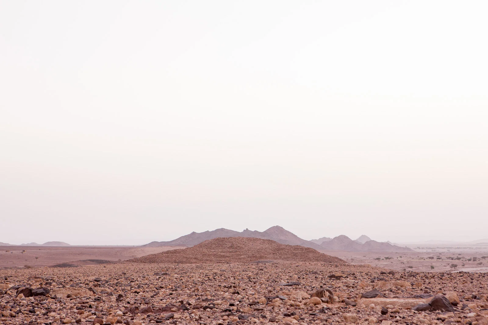 Enviro_Feynan_Blotto_0882.jpg